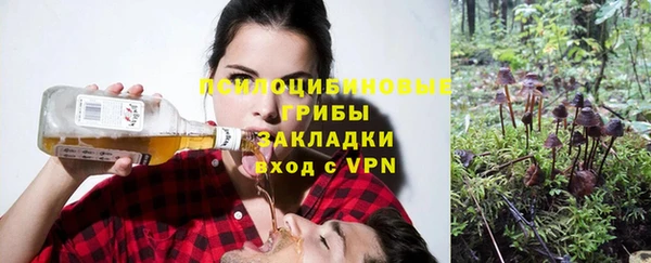ешки Беломорск