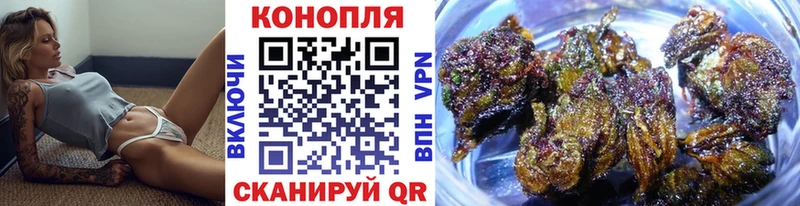 Бошки Шишки Amnesia  Реутов 
